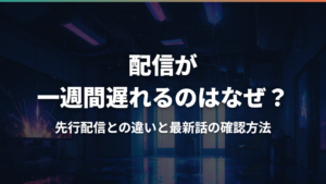配信が一週間遅れるのはなぜ?先行配信との違いと最新話の確認方法